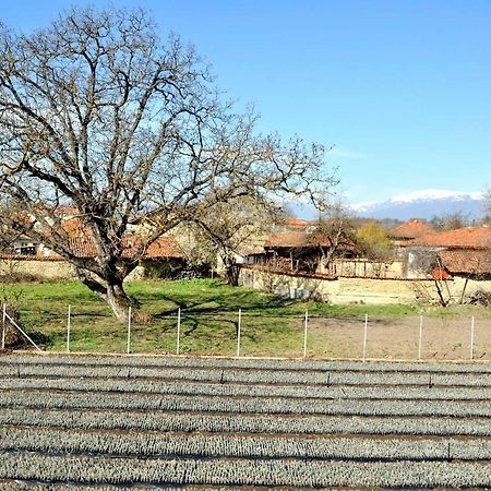 Вила В С. Габарево, Долината На Розите. Gabarevo Esterno foto