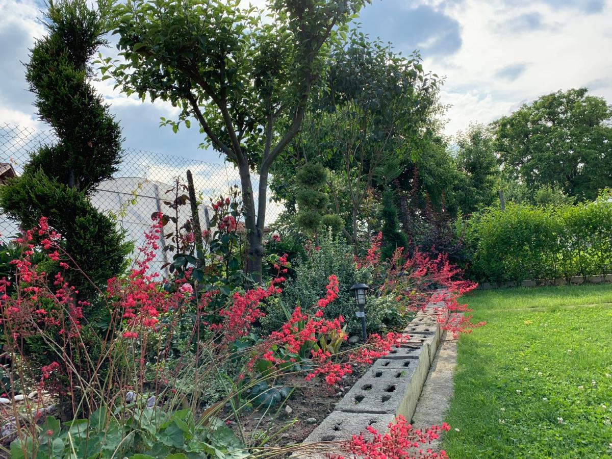 Вила В С. Габарево, Долината На Розите. Gabarevo Esterno foto